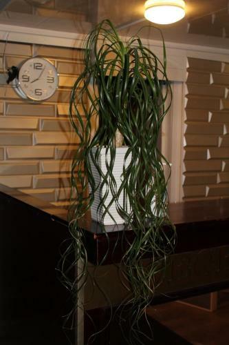 Hotel The Grand Karhu