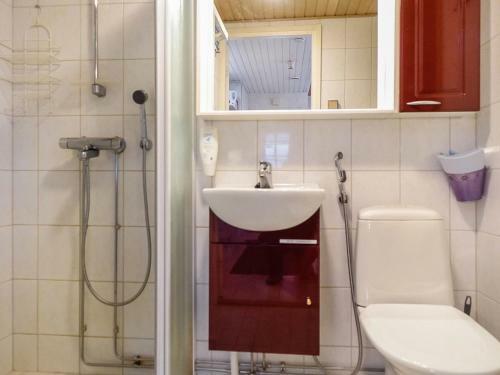 Holiday Home Levi Star V- Ap-1020