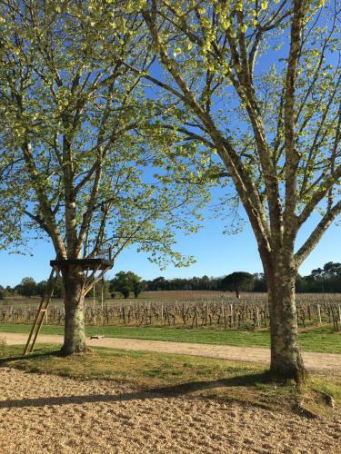 Hostal Chateau Beaulieu de Cleo Region Saint Emilion