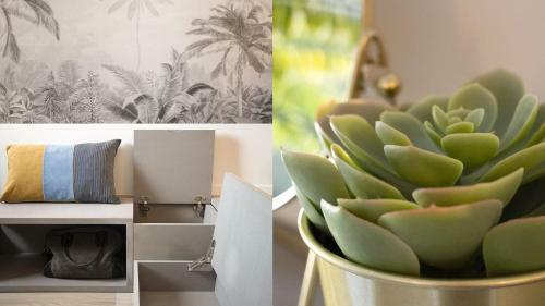 Apartamento Homey - Studio Amazonia Evasion - Hyper Centre - Aux Portes de Geneve