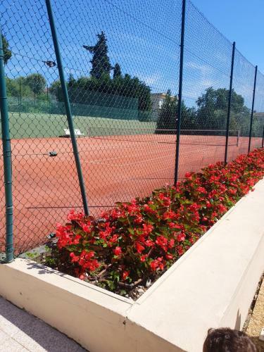 Apartamento Studio In Antibes With Shared Pool And Wifi 3 Km From The Beach
