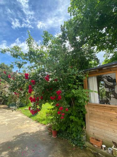 Bed & Breakfast Les Bergeronnettes - Chambres D'h�tes Bergerac