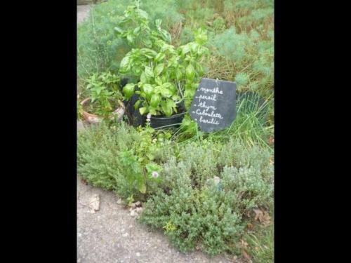 G�te Blain, 2 Pi�ces, 2 Personnes - Fr-1-306-1007