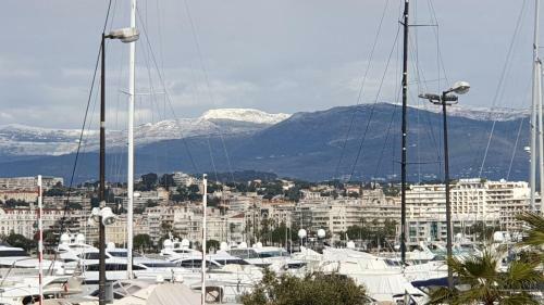Apartamento Villa Lerins Palm Beach Studio Cannes