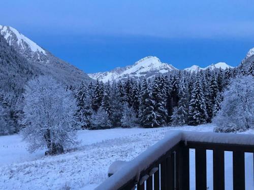Chalet Ch�tel, 6 Pi�ces, 10 Personnes - Fr-1-198-212