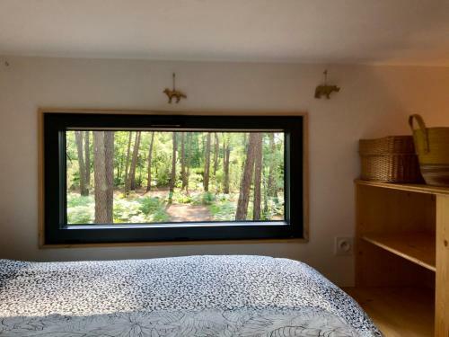 Tiny Stay - Ecolodge