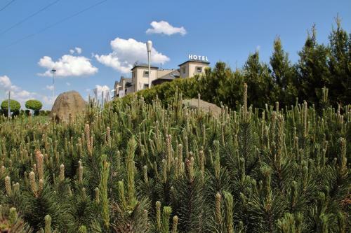 Hotel Piaskowy
