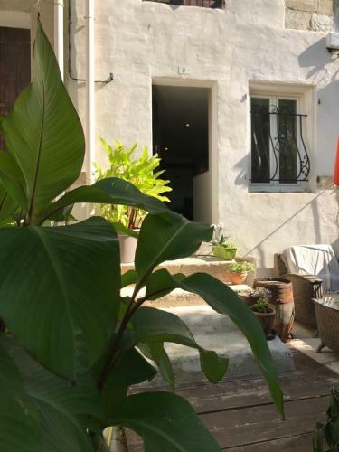 Bed & Breakfast La Terrasse
