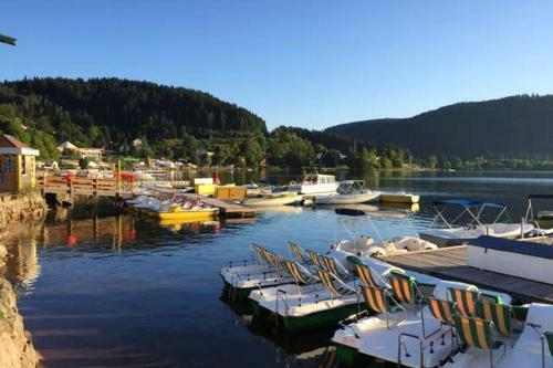 Apartment With 2 Bedrooms In Gerardmer With Wifi