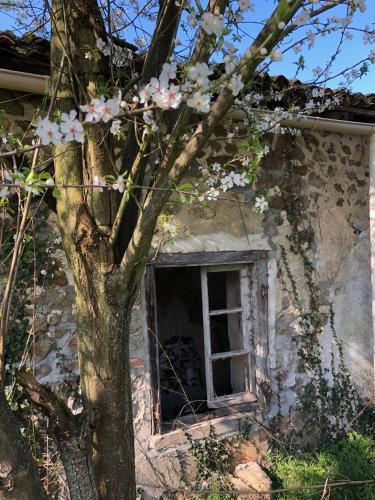3-bed Farmhouse With Heated In Ground Pool