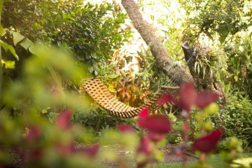 Las Orquideas Parque Hotel
