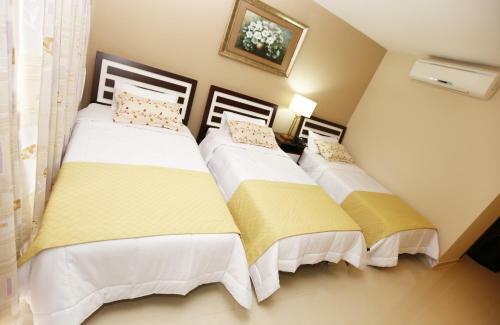 Del Sur Hotel-museo
