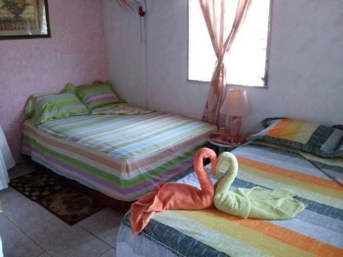 Albergue Hostal Cariguana