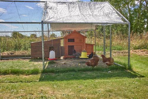 Bed & Breakfast Chambres D'h�tes Le Grand Champ