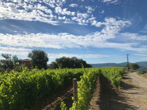 Domaine De Miremer