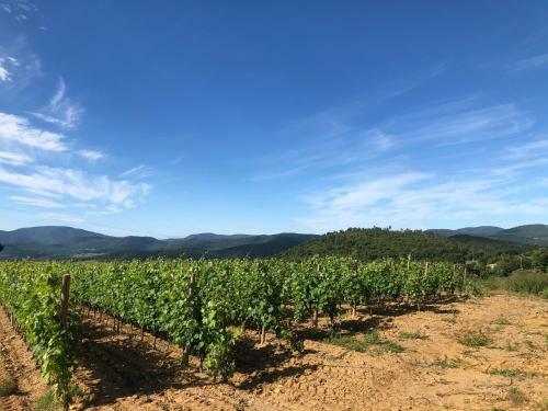 Domaine De Miremer