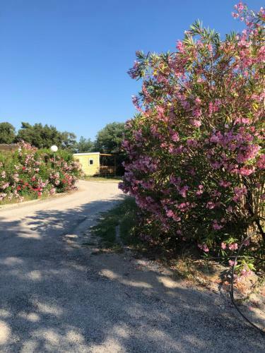 Domaine De Miremer