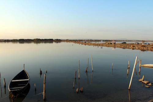 Apartamentos Endless Summer 237 - Port Camargue, Plage Sud
