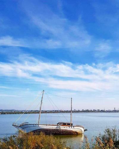 Apartamentos Endless Summer 237 - Port Camargue, Plage Sud