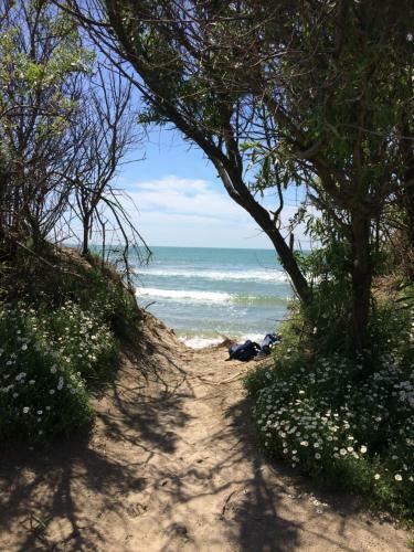 Apartamentos Endless Summer 237 - Port Camargue, Plage Sud