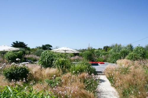 Les Portes-en-re Villa Sleeps 14 With Pool