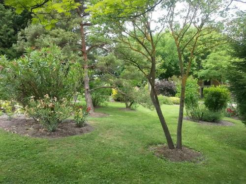 Le Jardin Proven�al 1