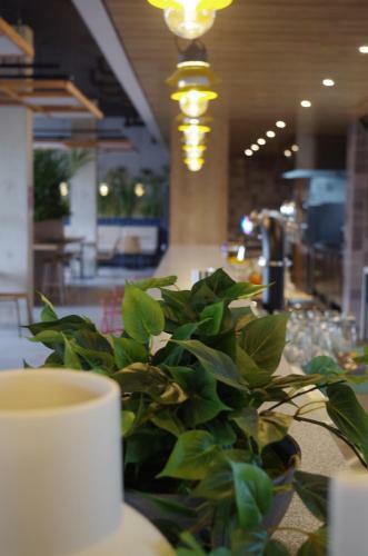 Hotel Ibis Lunel Petite Camargue