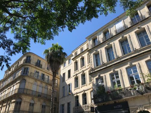 Apartamentos Home Chic Home - La Terrasse Bazille