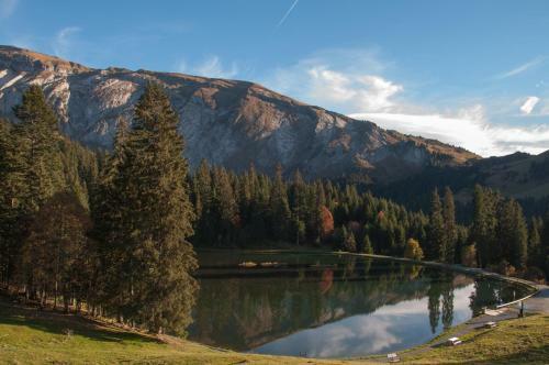 Bed & Breakfast Chalet Sur Les Monts Morzine