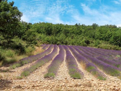 Holiday Home L'amandier - Orn310