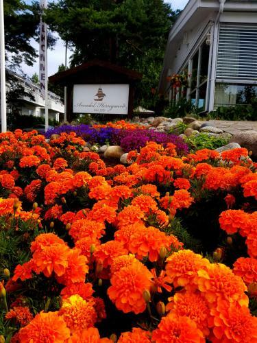 Hotel Arendal Herregaard Spa & Resort