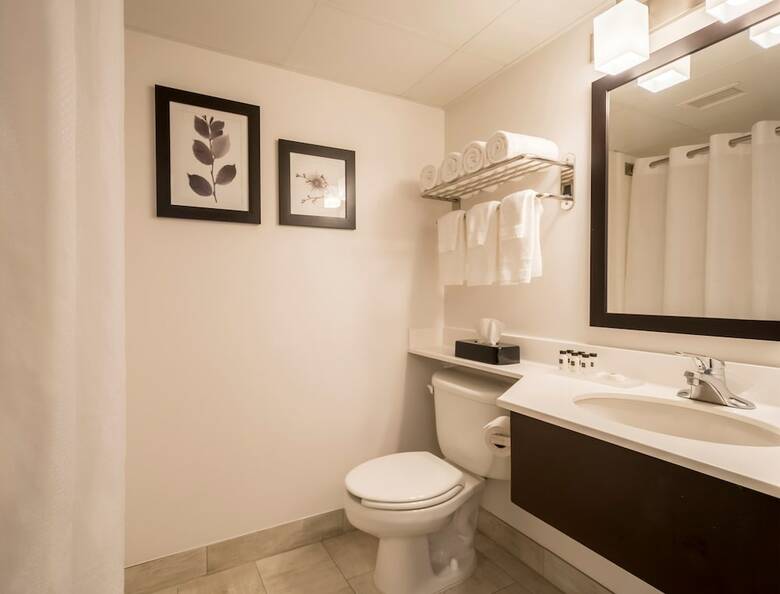 Hotel Holiday Inn Express Rochester