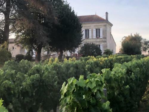 Bed & Breakfast Chateau Couchebout