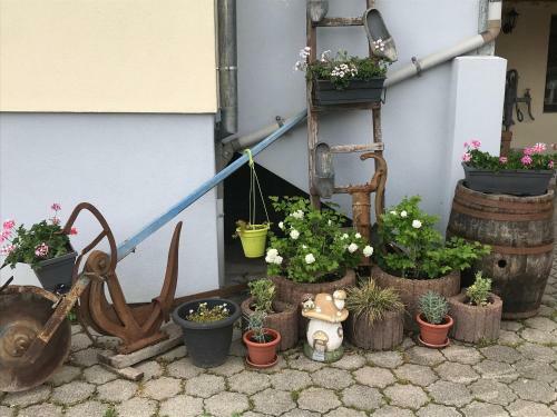 Apartamento G�te 1 La Grange de Delphine