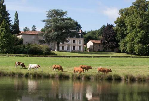 Le Masbareau B&B