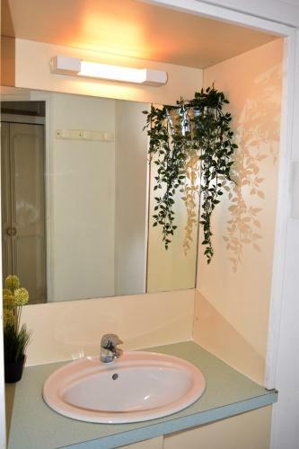Apartamento Studio 2/4 Personnes Grande Plage Saint Cast