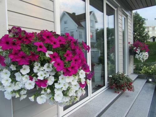 Apartamento Villa Baneheia