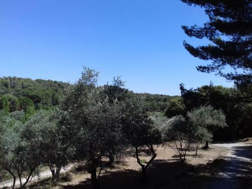 G�te Du Domaine de L'arbre de Vie