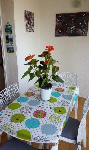 Apartamento R�sidence Hacienda Appartement 24