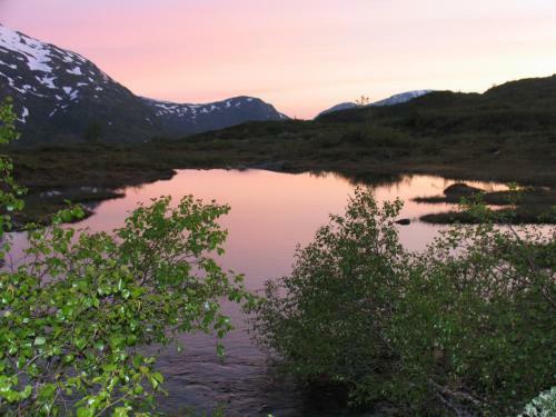 Lodge Hov Hyttegrend