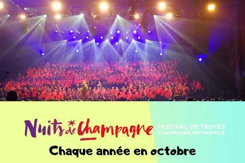 Apartamento Troyes - Le Cadre Vert - Studio - Netflix - Parking