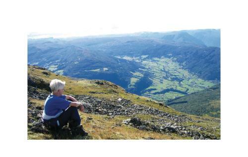 Holiday Home Vangsnes Vangsnes