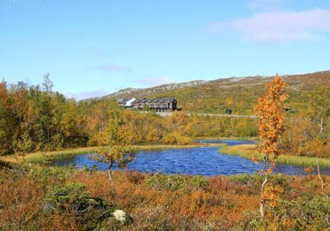 Hotel Grotli H�yfjellshotell