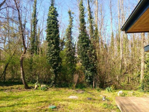 House With 3 Bedrooms In Saint Selve With Wifi
