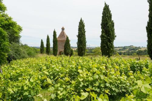 Saint-lary-soulan Chateau Sleeps 21 Pool Wifi