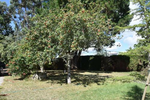 Superbe Demeure Familiale Avec Piscine � Sarzeau