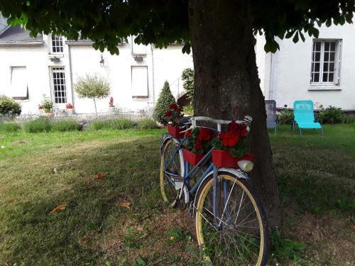 Hostal Chambres D'h�tes de L'ile Du Saule
