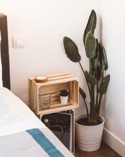 Bed & Breakfast Villa Sayulita Surfhouse