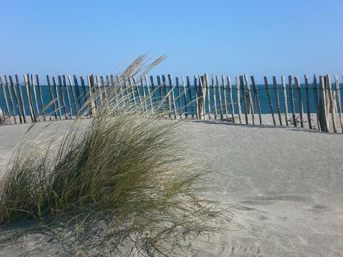 Camping Les Tropiques **** - Maeva