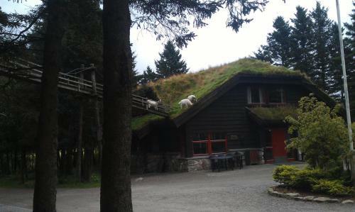 Hotel Holmavatn Ungdoms Og Misjonssenter